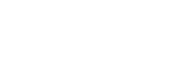 logo de l'institut catalan Ramon Llull